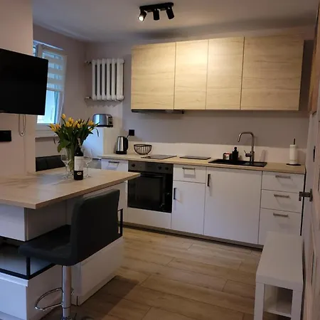 Apartament Zielone Powisle *