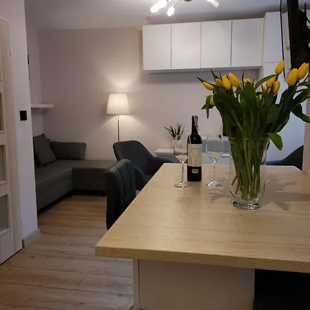 Апартаменты Apartament Zielone Powisle